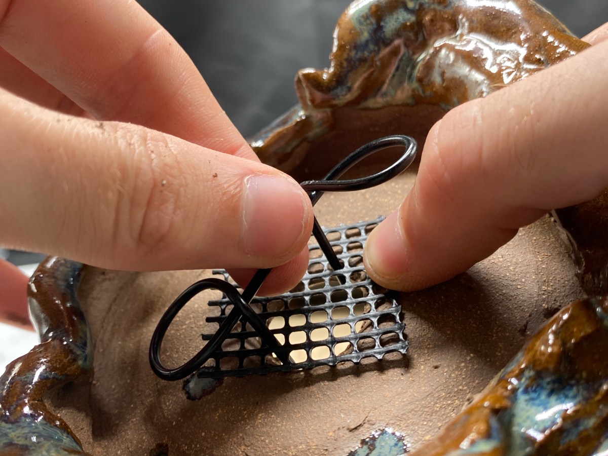 Pot a New&nbsp;Bonsai